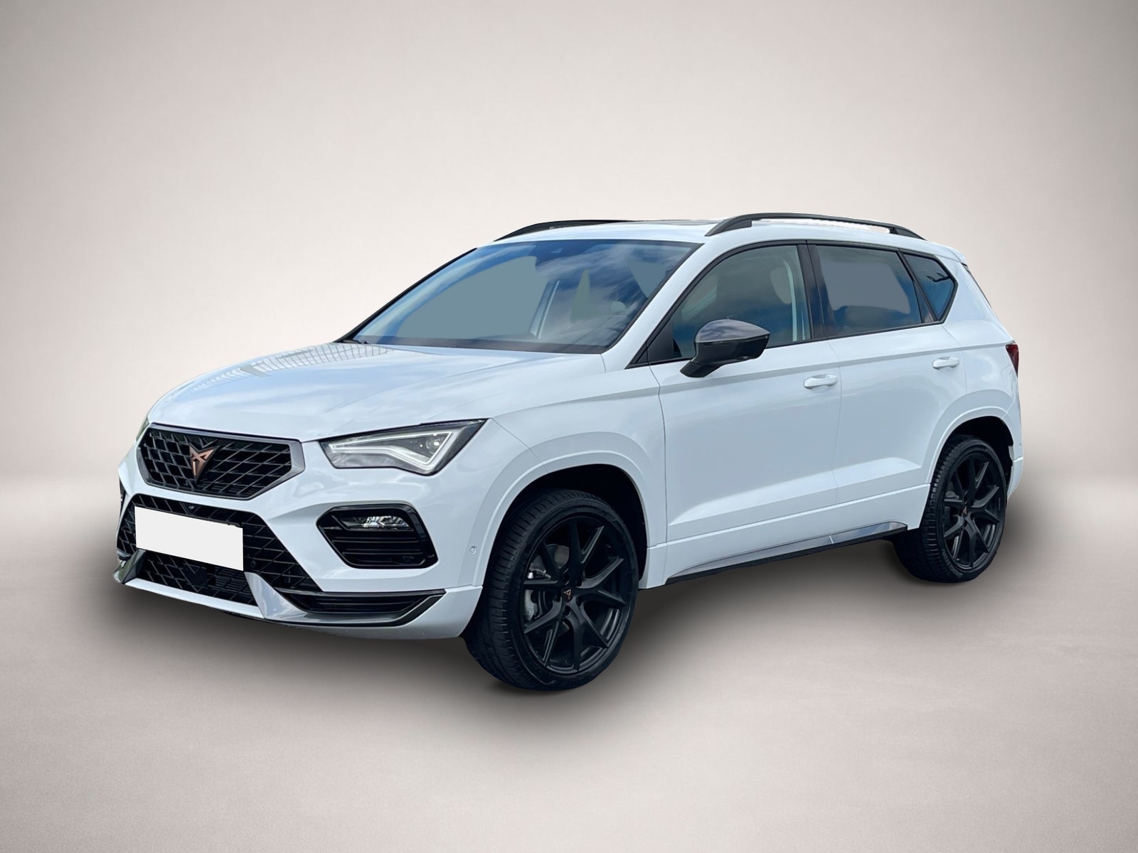 Fotografie Cupra Ateca 4Drive TSI DSG|PANO|AHK|19