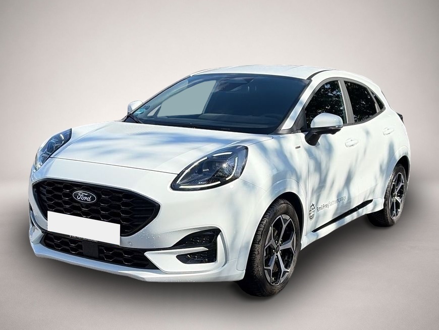 Bild Puma Ford