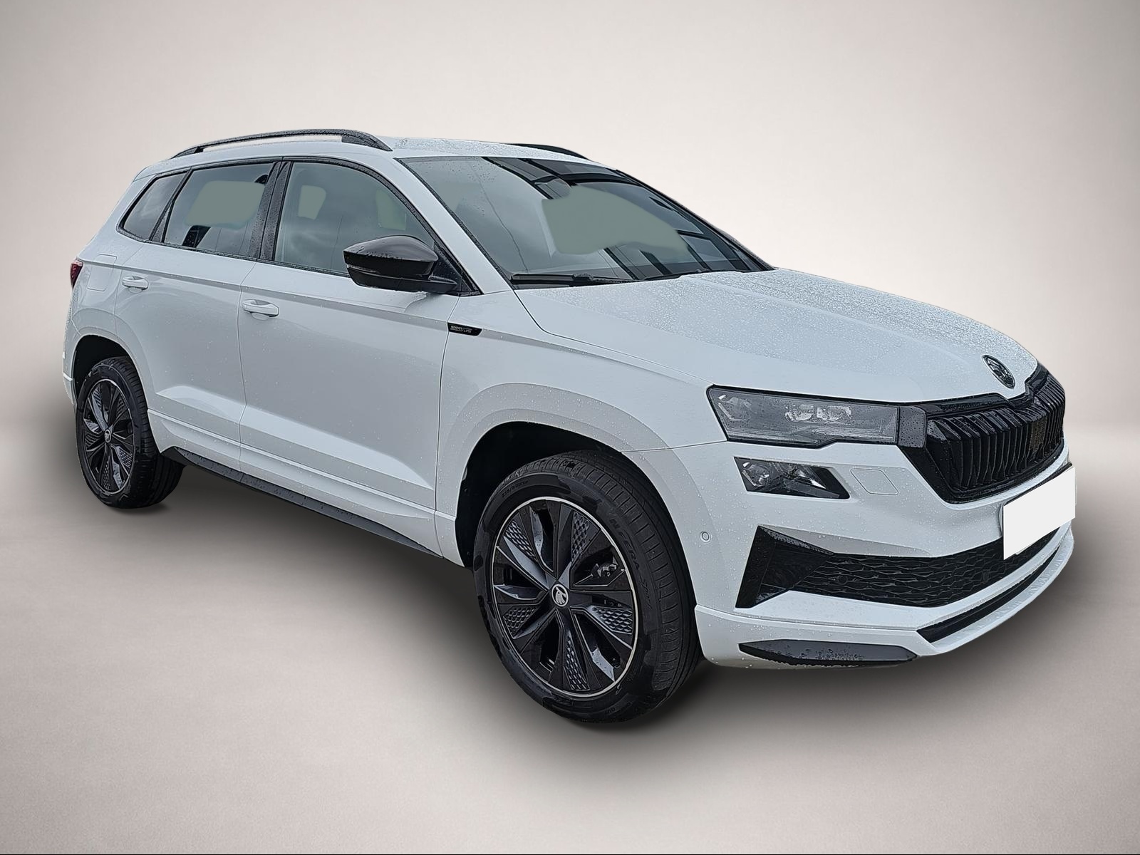 Bild Karoq Skoda