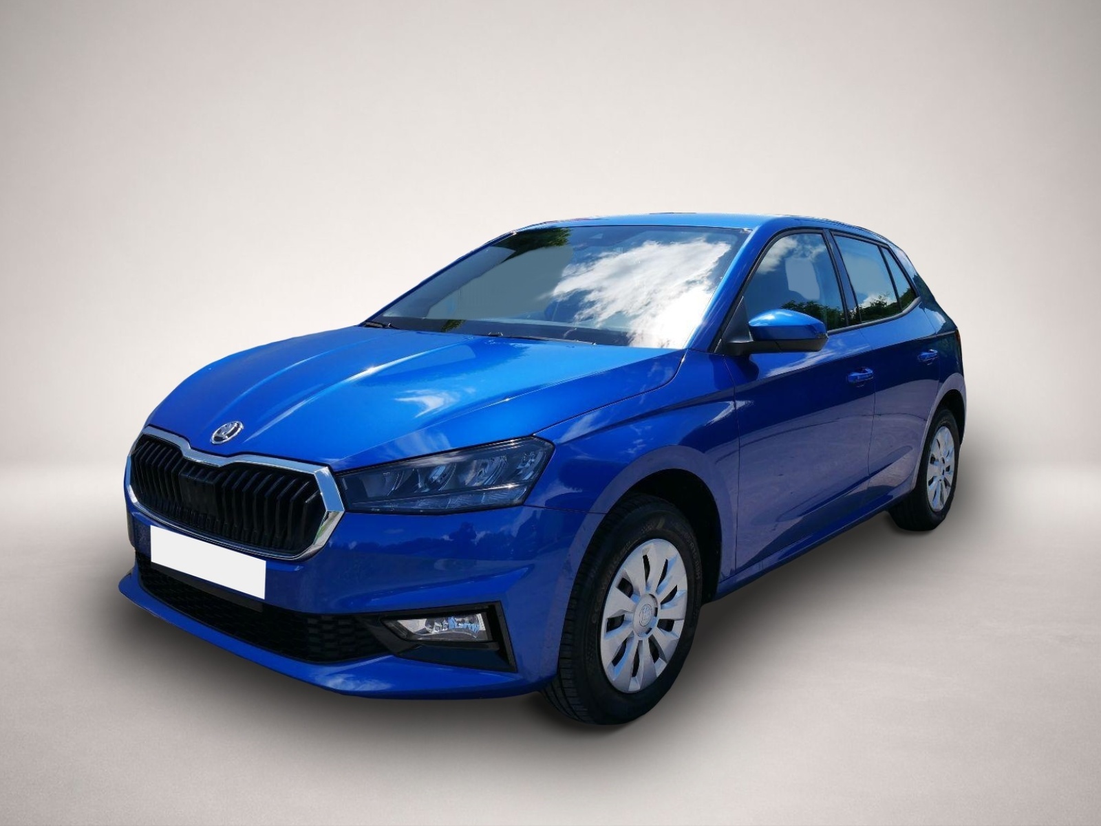 Fotografie 1 des Skoda Fabia Selection 1.0 TSI *NAVI-ÜBER-SMARTLINK*PDC