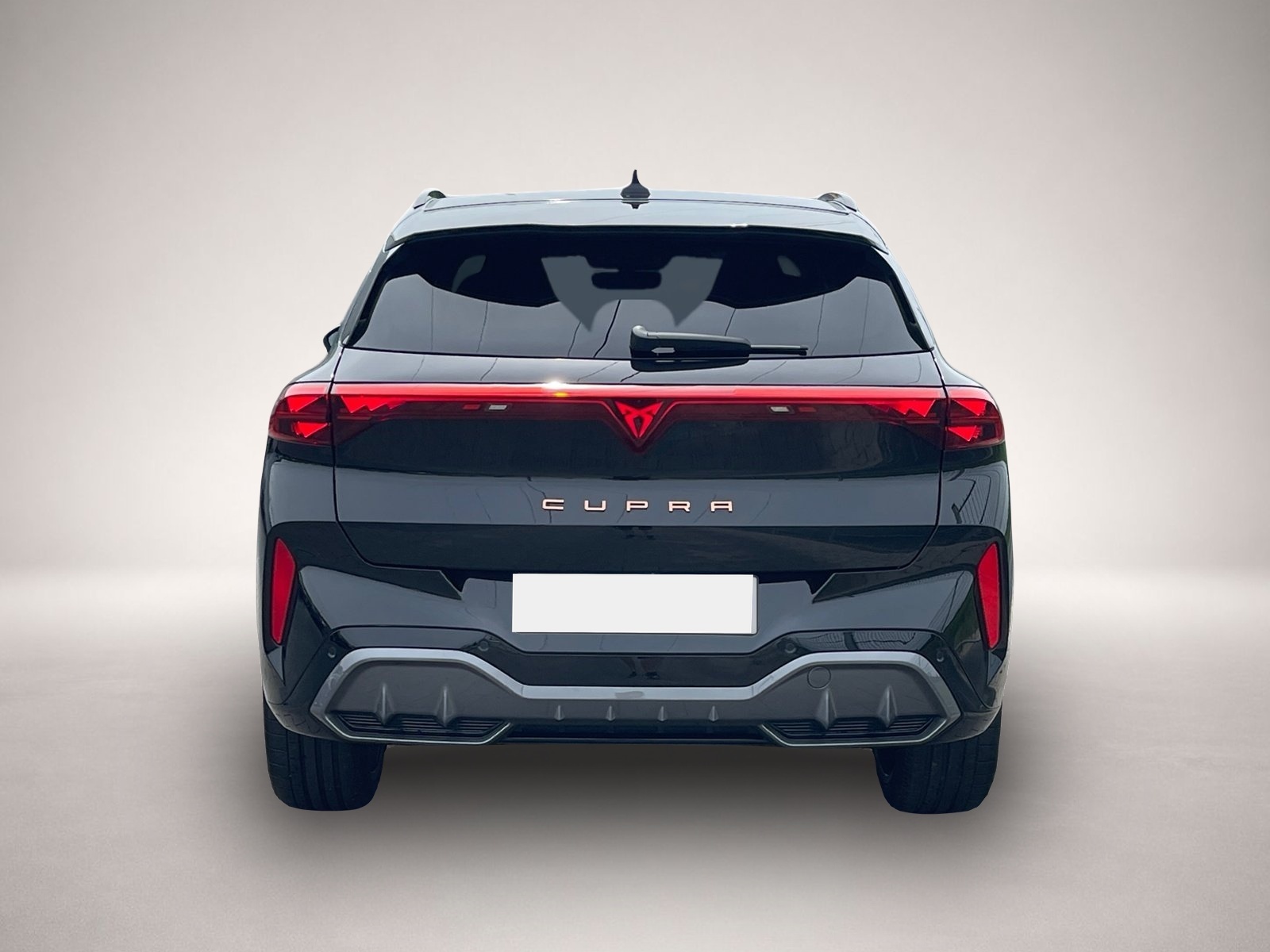 Bild 5 Cupra Terramar VZ 4Drive TSI DSG|AHK|PANO|360°|HEAD-UP