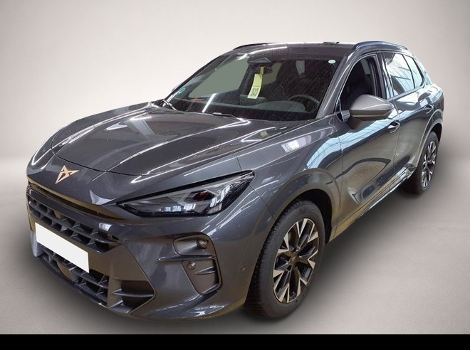 Bild Terramar Cupra