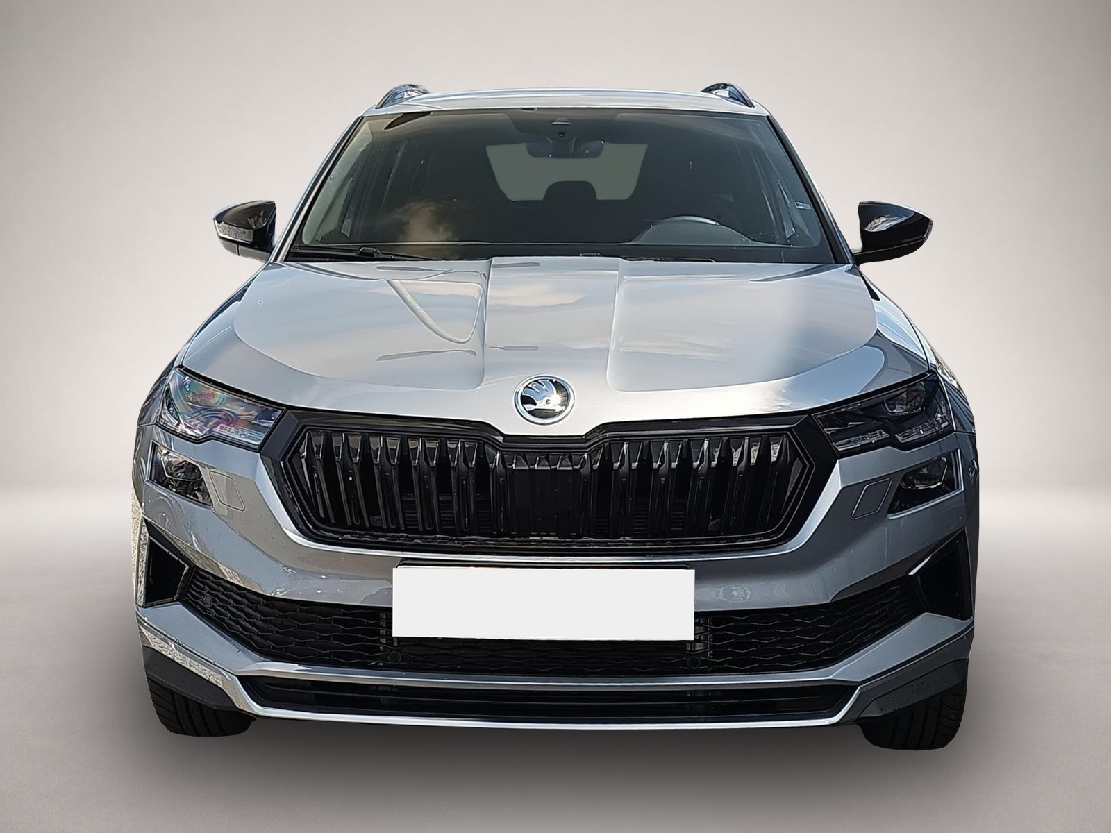 Bild 2 Skoda Karoq 1.5 TSI DSG Sportline Matrix 5J.Gar. AHK