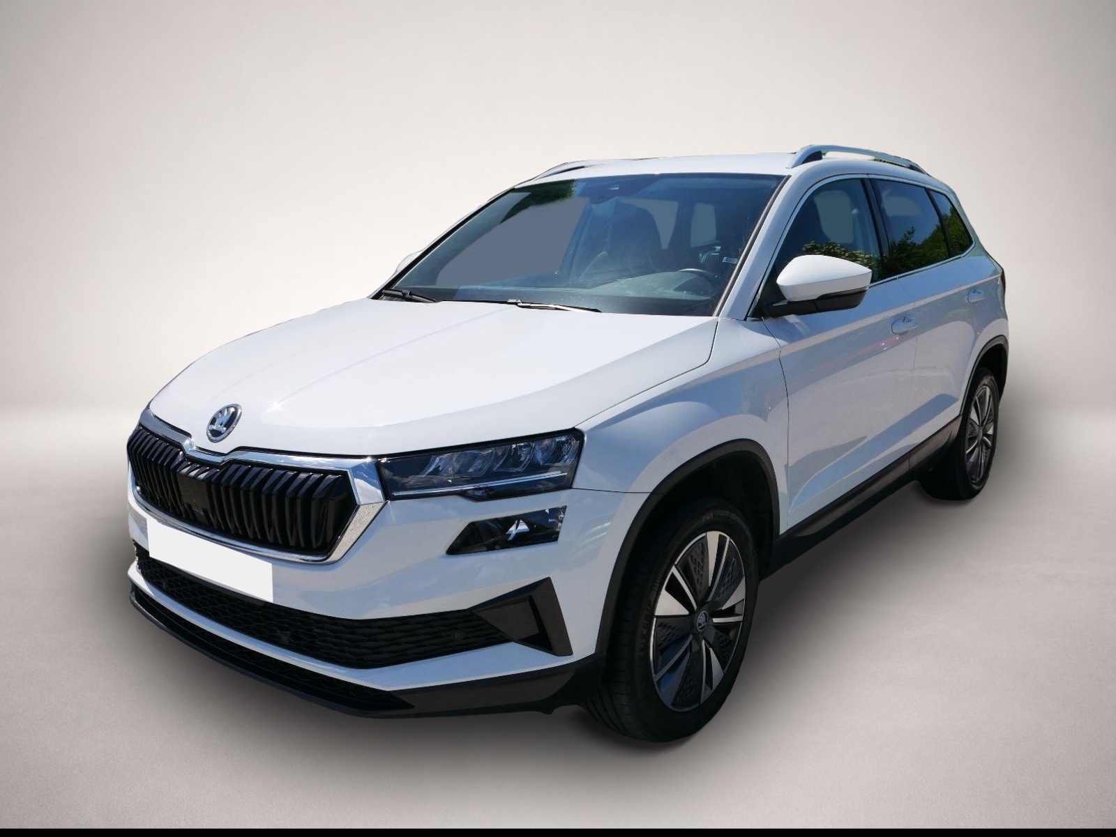 Bild 1 Skoda Karoq Selection 1.5 TSI DSG*ACC*PDC*KAMERA*TEMPO