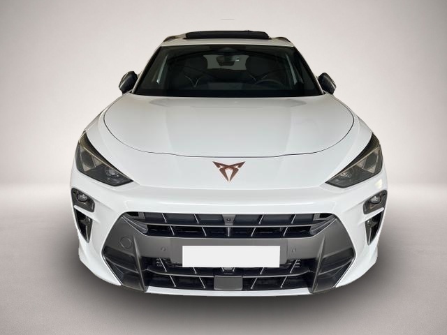 Bild 2 Cupra Terramar VZ 2.0 TSI 4Drive AKEBONO+Leder+Pano+Matrix+AHK.