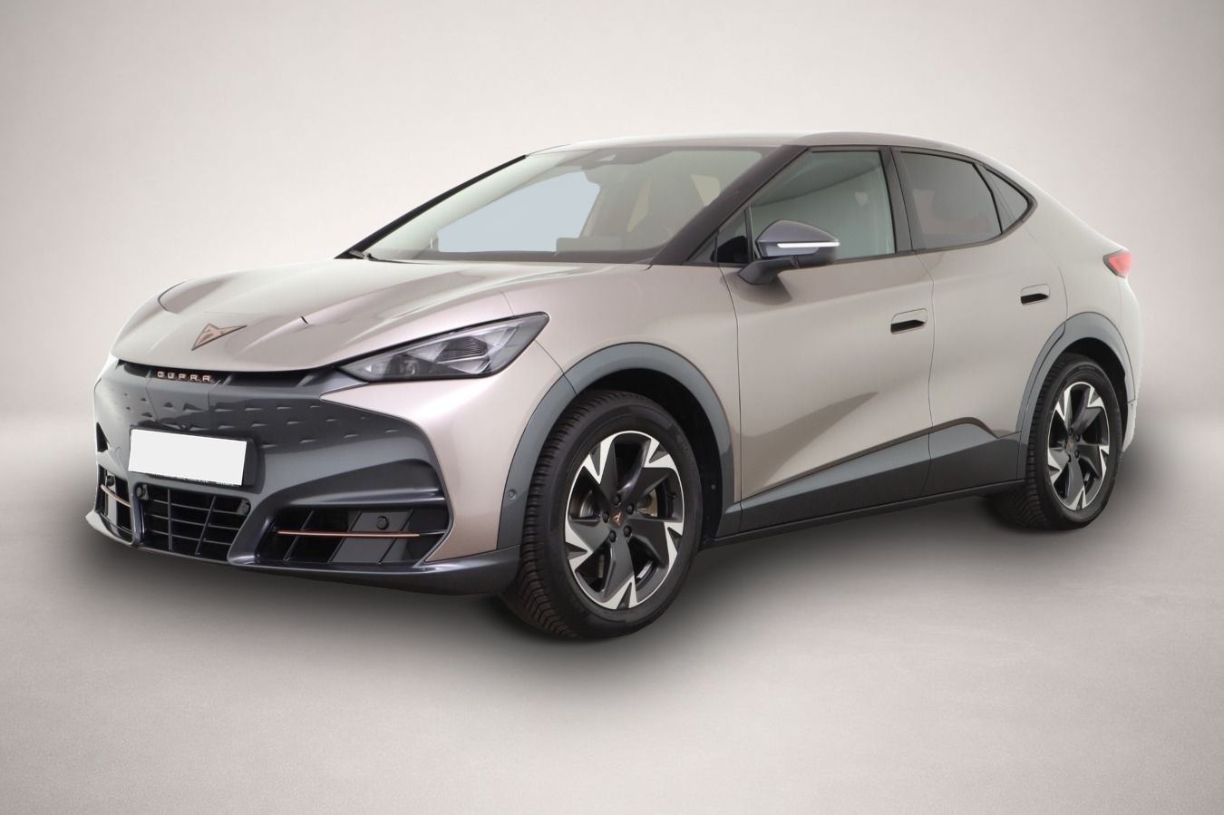 Bild Tavascan Cupra