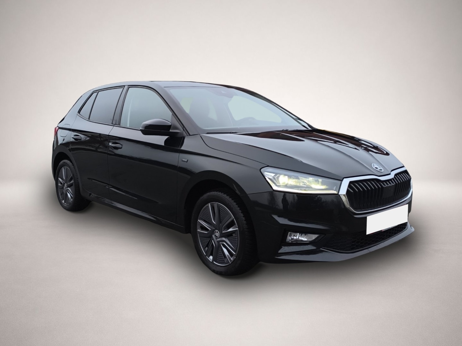 Bild 3 Skoda Fabia 1.5 TSI DSG Tour NAVI AHK ACC PDC RFK SMAR