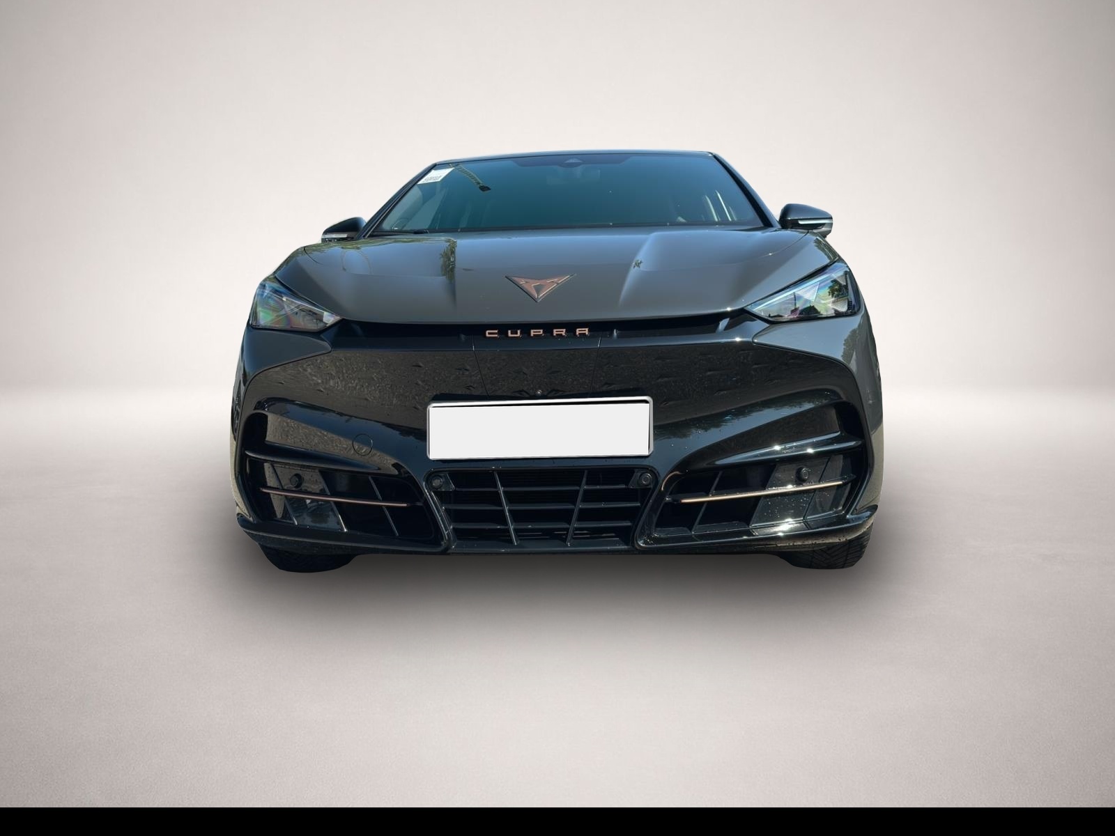 Bild 2 Cupra Tavascan Endurance ALCANTARA NAVI 360 SHZ