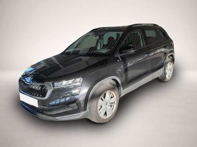 Bild Karoq Skoda