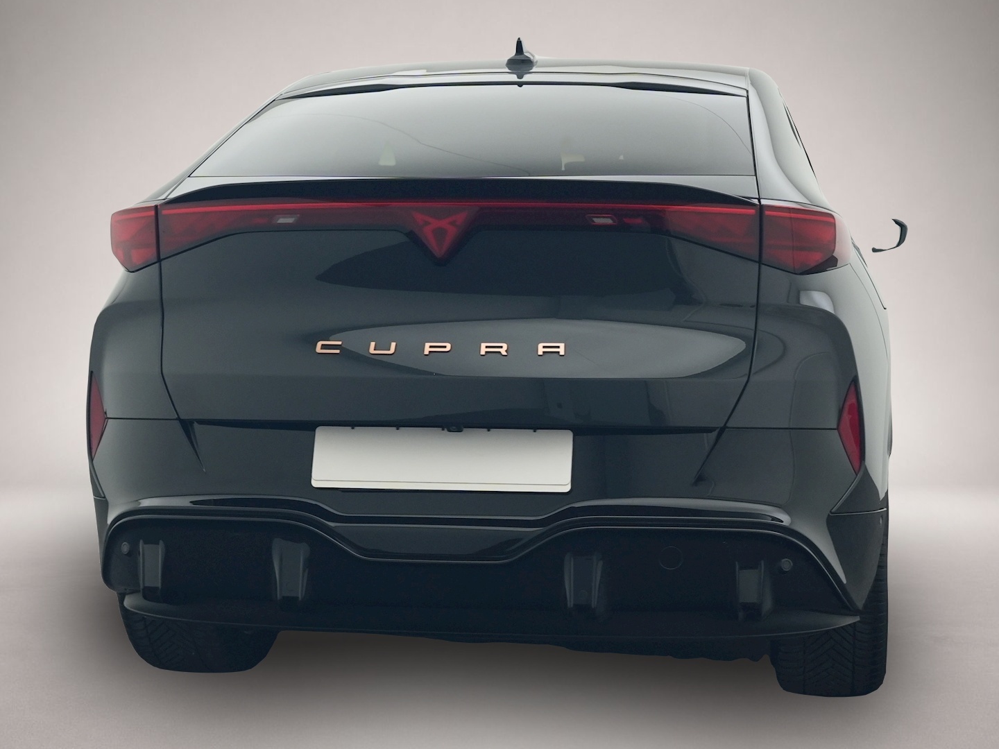Bild 4 Cupra Tavascan Endurance 5-J-GAR WÄRMEPUMPE KAMERA