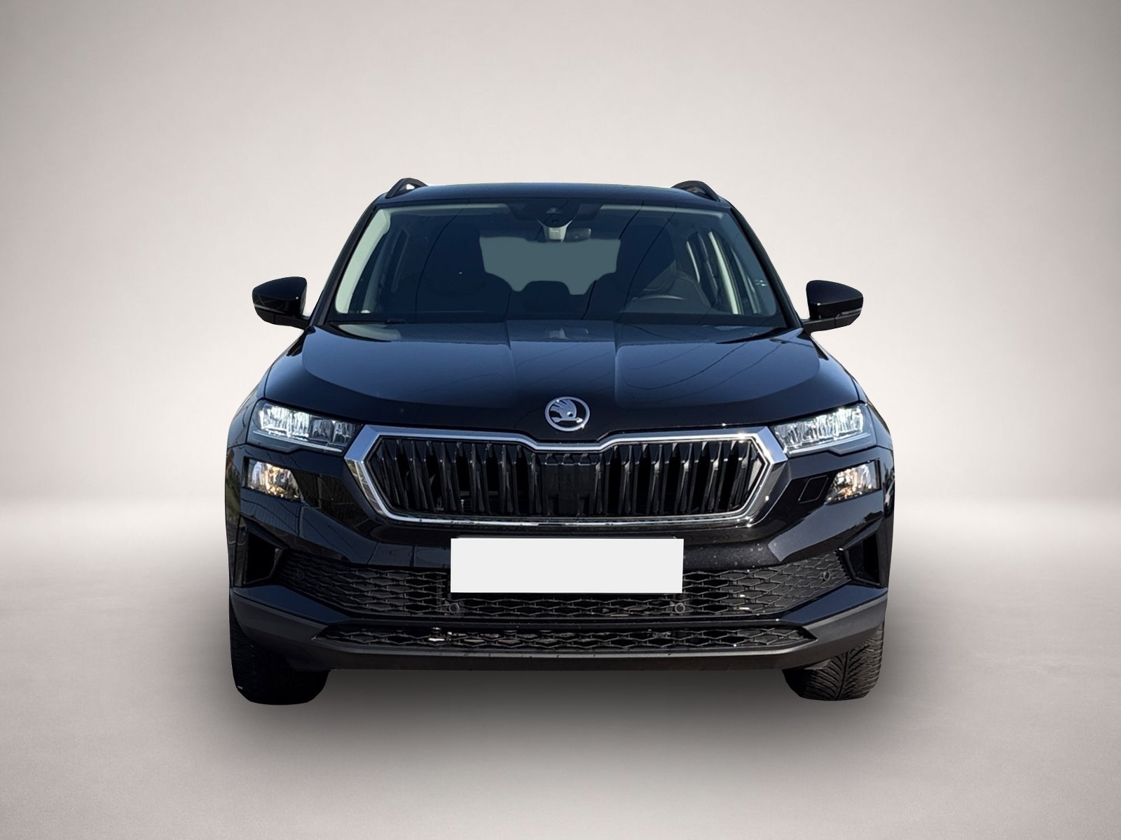 Bild 2 Skoda Karoq Selection TSI DSG|AHK|KAMERA|NAVI|WINTER-P