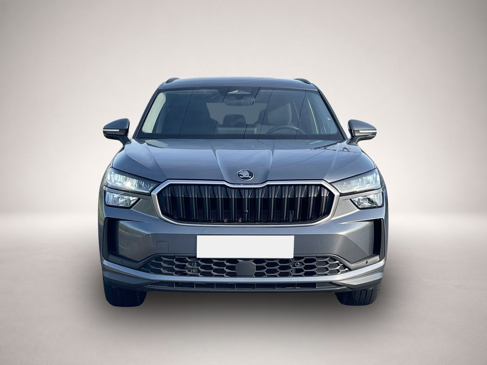 Bild 2 Skoda Kodiaq Selection iV DSG|NAVI|KAMERA|DCC+|WINTER