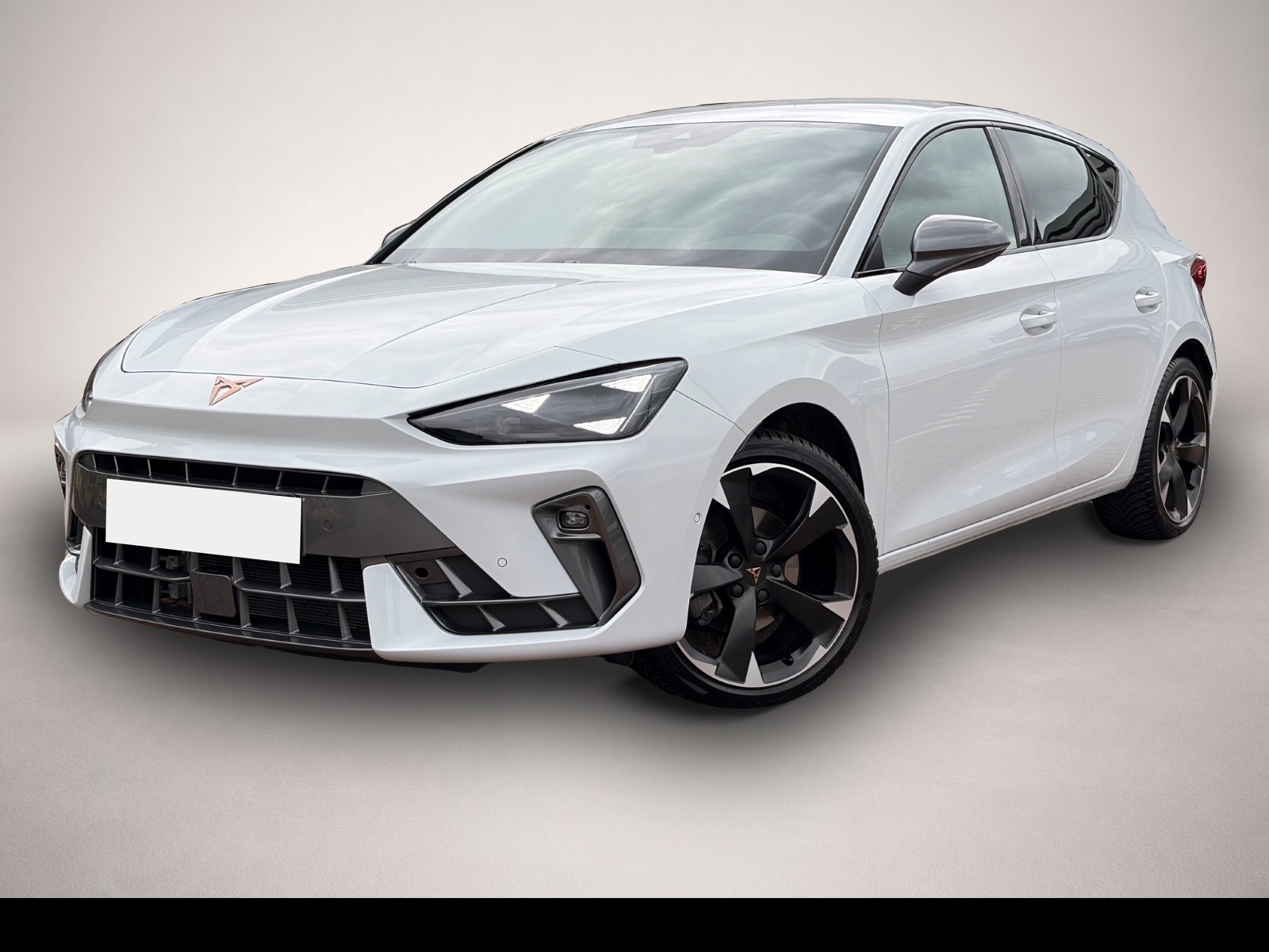 Bild Leon Cupra