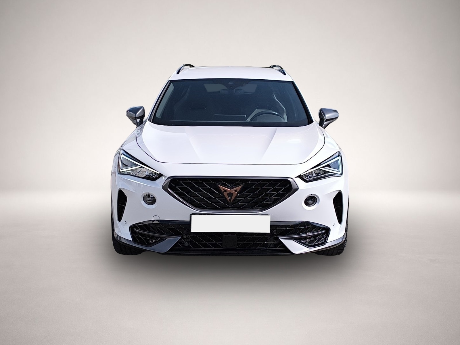 Bild 2 Cupra Formentor 2.0 TSI DSG 4Drive VZ LED NAVI 19 KAME