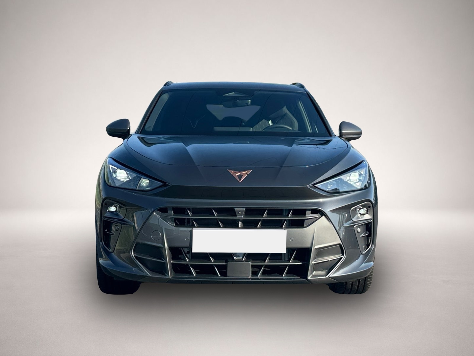 Bild 2 Cupra Terramar VZ e-HYBRID DSG|AHK|HEAD-UP|MATRIX|360°