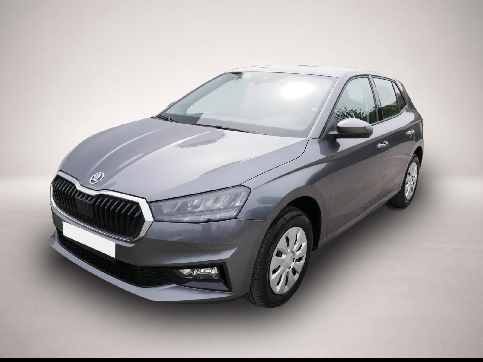 Fotografie 1 des Skoda Fabia Selection 1.0 TSI DSG*NAVI-ÜBER-SMARTLINK*