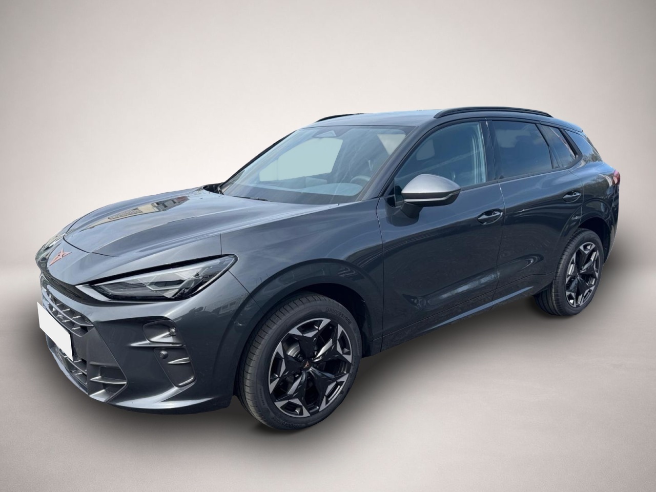 Bild 1 Cupra Terramar VZ 4x4 DSG AHK LED el.Heckklappe Alu-19