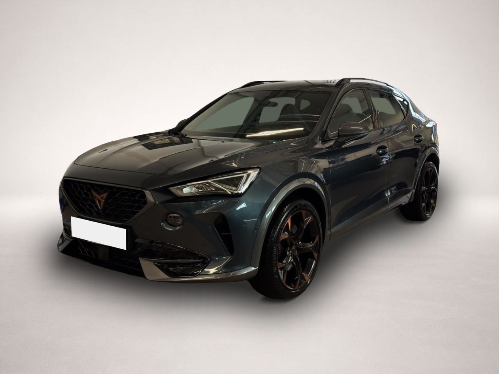 Fotografie Cupra Formentor 2.0 TSI DSG 4Drive VZ