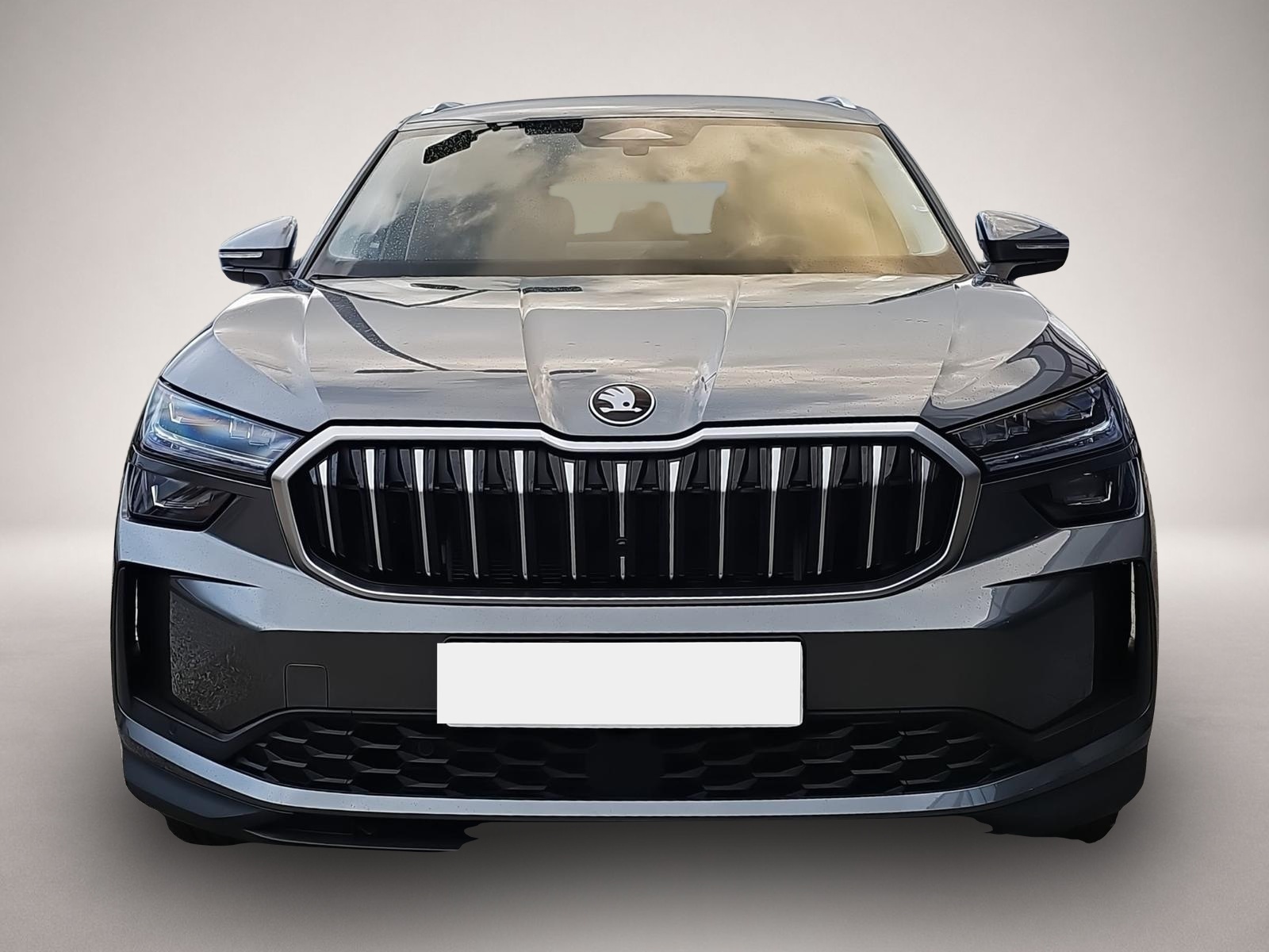 Bild 2 Skoda Kodiaq 2.0 TDI DSG Selection 7-Si. ACC Matrix