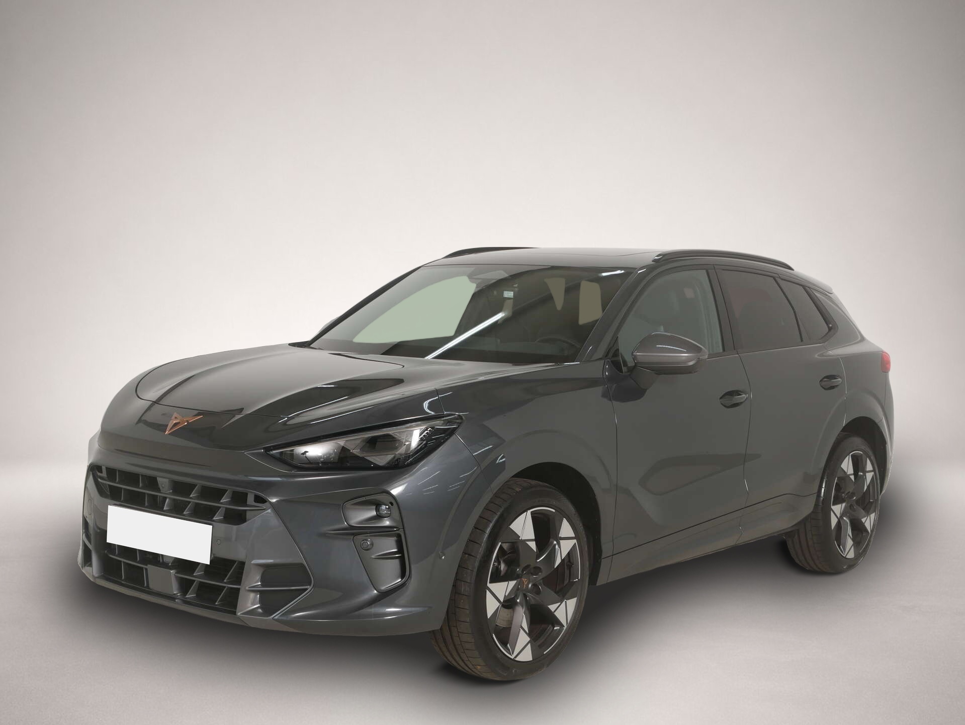 Bild Terramar Cupra