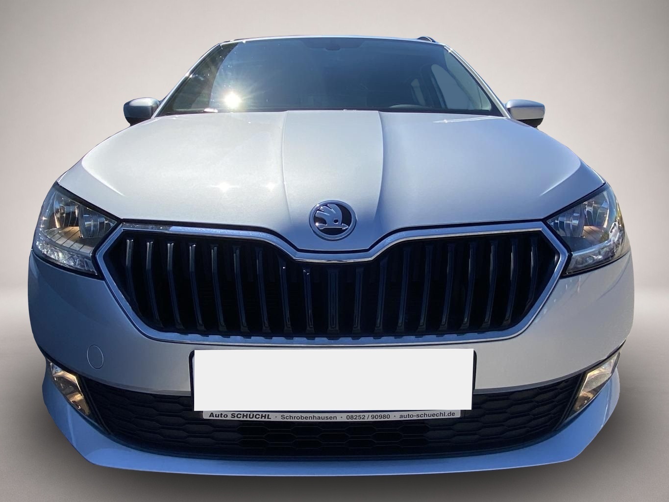 Bild 7 Skoda Fabia Combi 1.0 TSI SMART-LINK+NAVI+DAB+SHZ+PDC+