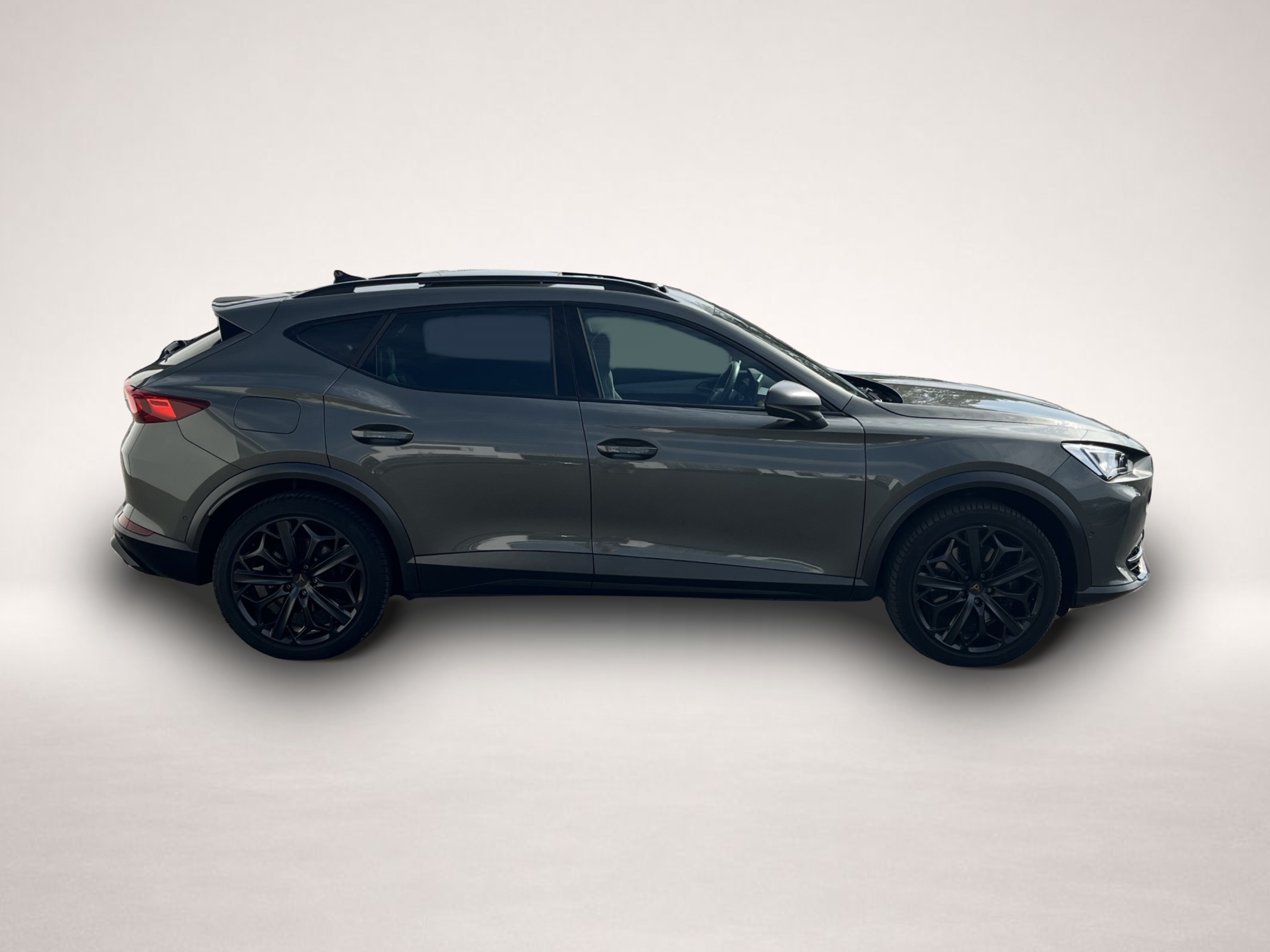 Bild 3 Cupra Formentor 2.0 TSI DSG 4Drive VZ Tribe Edition 21