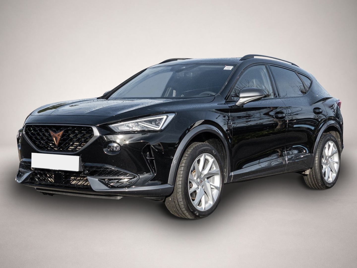Fotografie Cupra Formentor 1.5 TSI