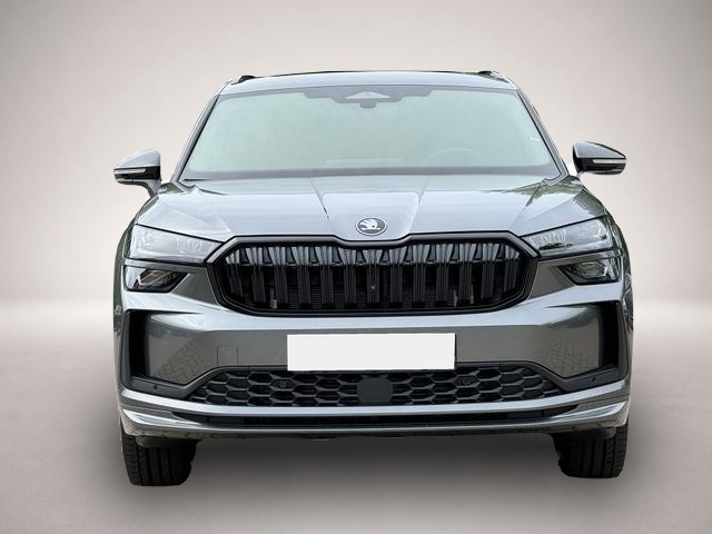 Bild Kodiaq Skoda