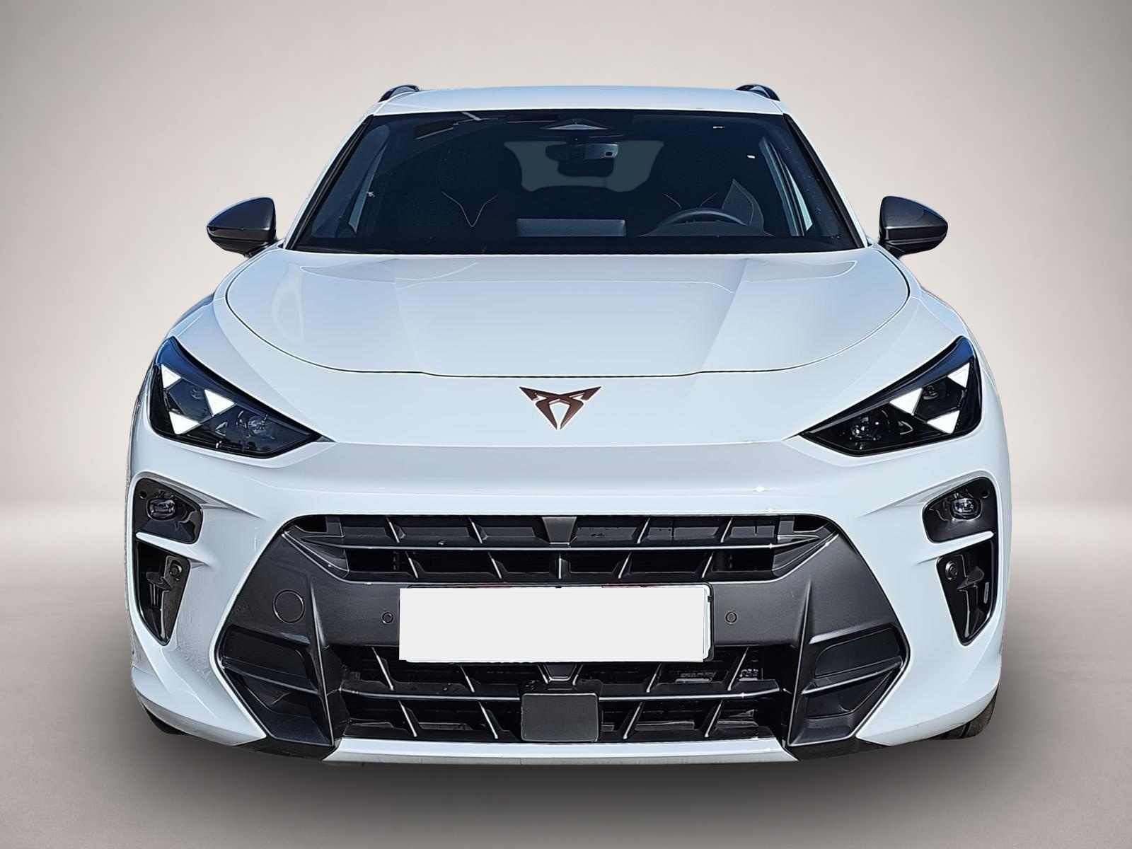 Bild 2 Cupra Terramar 1.5 eTSI DSG / Edge Paket / 19Zoll