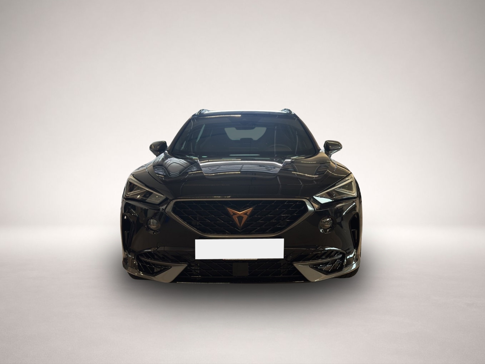Bild 2 Cupra Formentor 2.0 TSI DSG 4Drive VZ MATRIX-LED PANO
