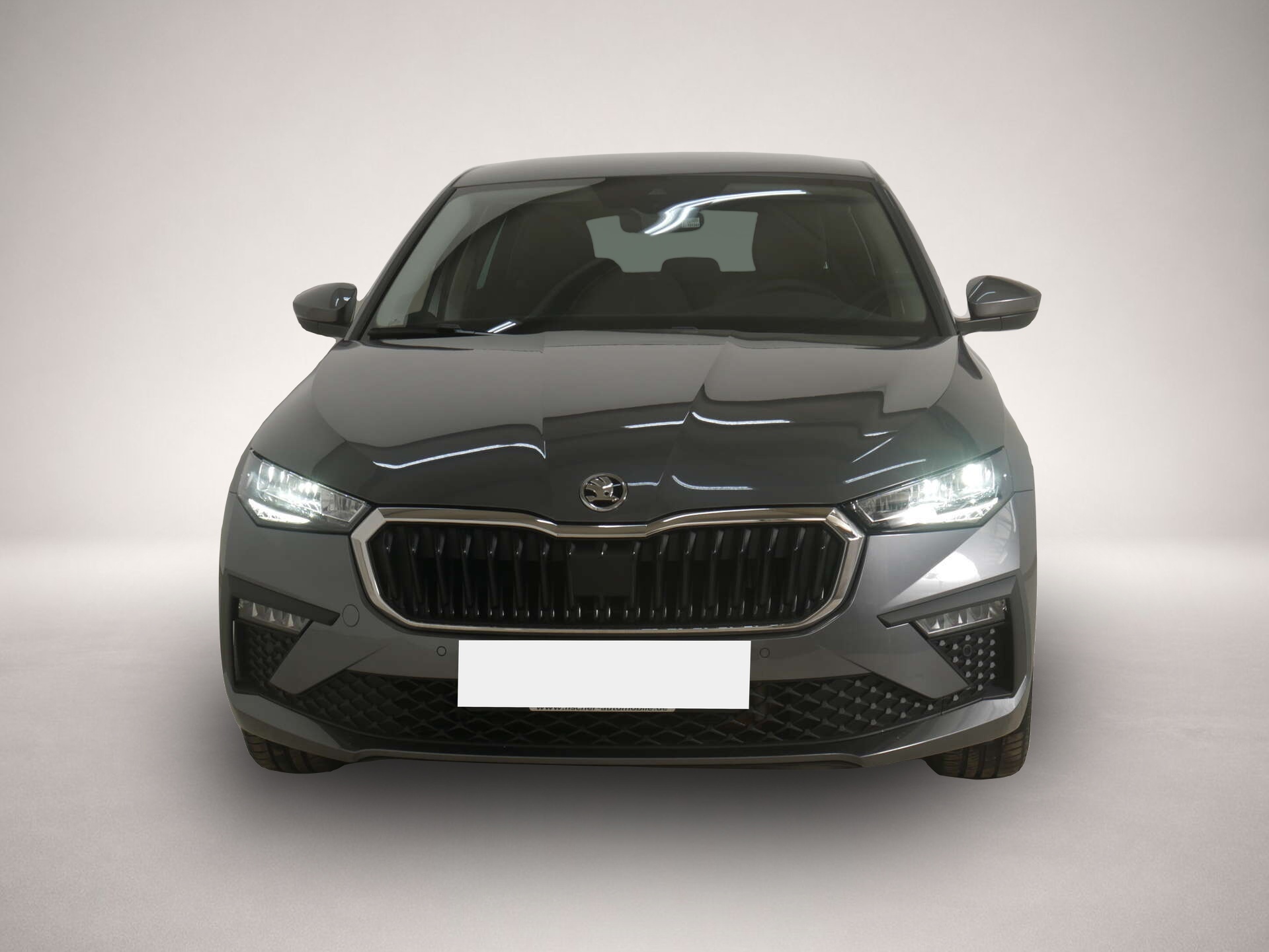 Bild 2 Skoda Scala 1.0 TSI Selection