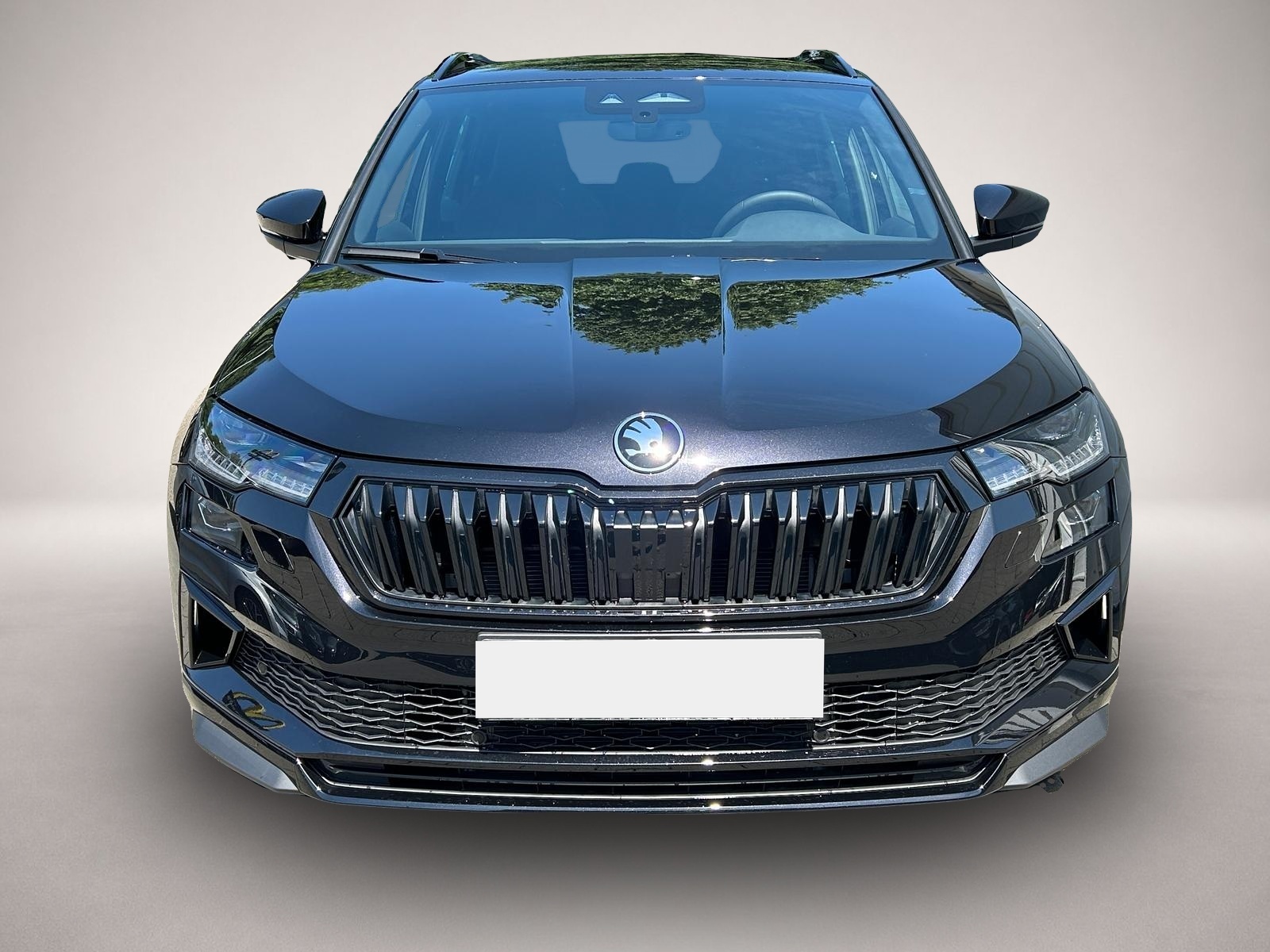 Fotografie 2 des Skoda Karoq Sportline 2.0 TDI DSG AHK*NAVI*Android Aut