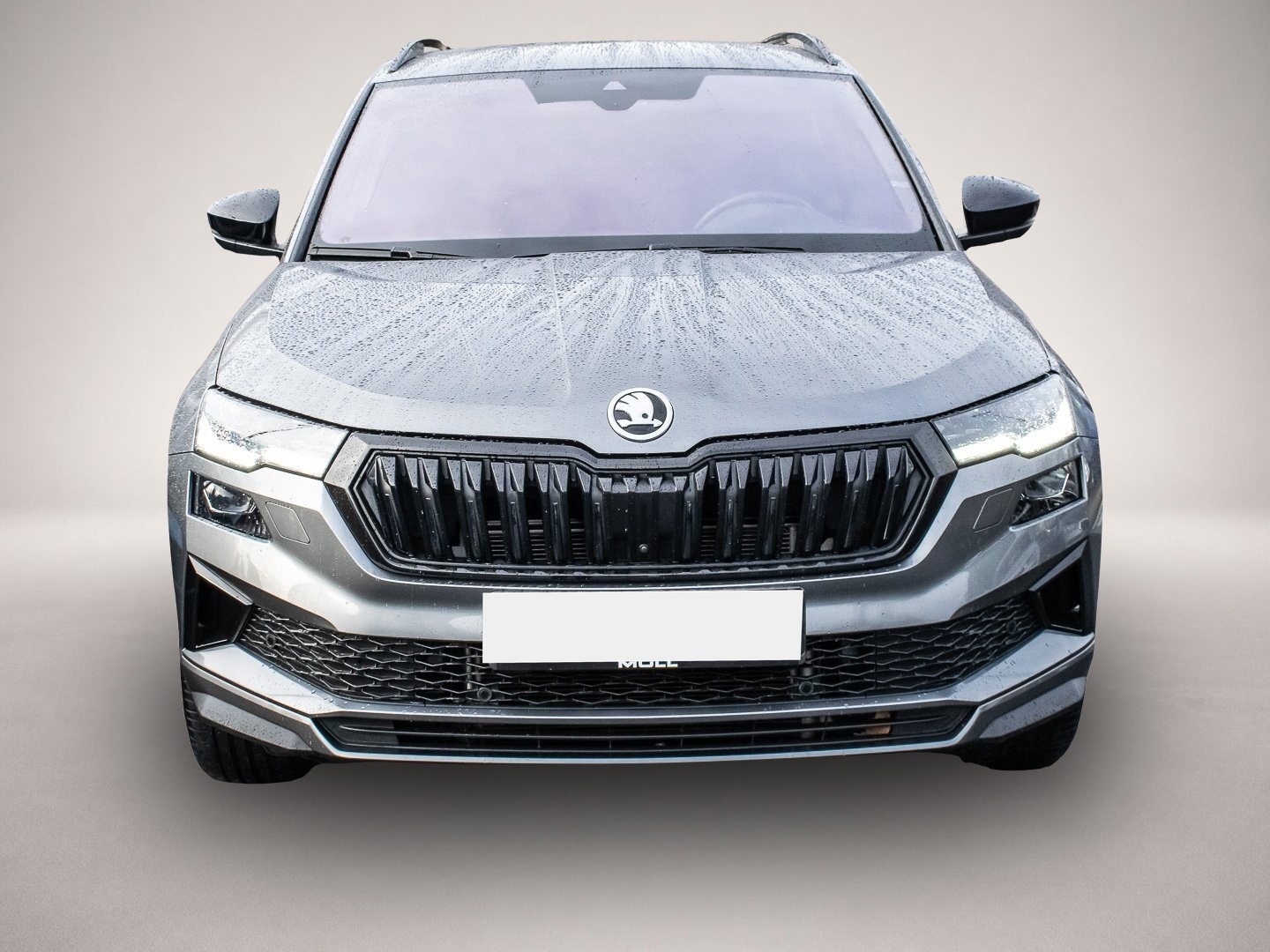 Bild 2 Skoda Karoq 2.0 TSI DSG Sportline