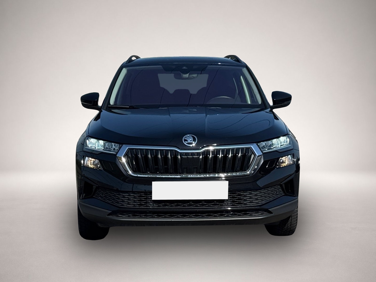 Bild 2 Skoda Other Karoq Selection 1.5 TSI DSG|SHZ|ACC|KAMERA