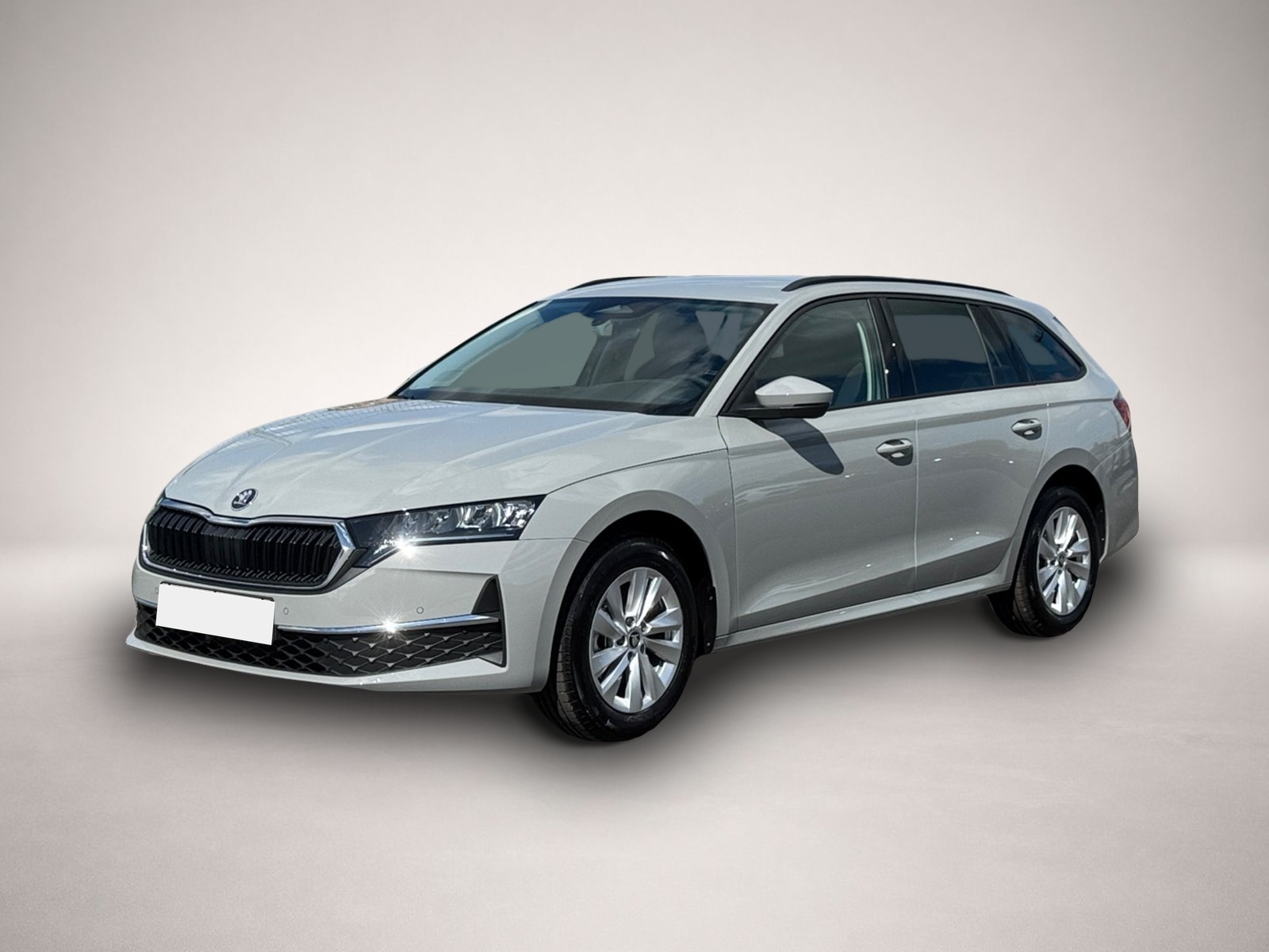 Bild Octavia Skoda