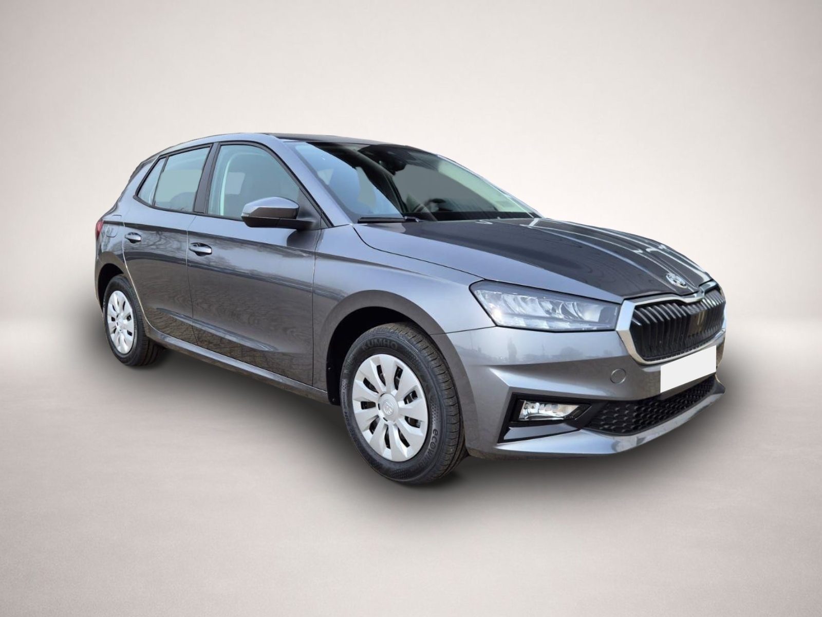 Bild 7 Skoda Fabia 1.0 TSI 95PS Selection 5-türig Rückf.Kame
