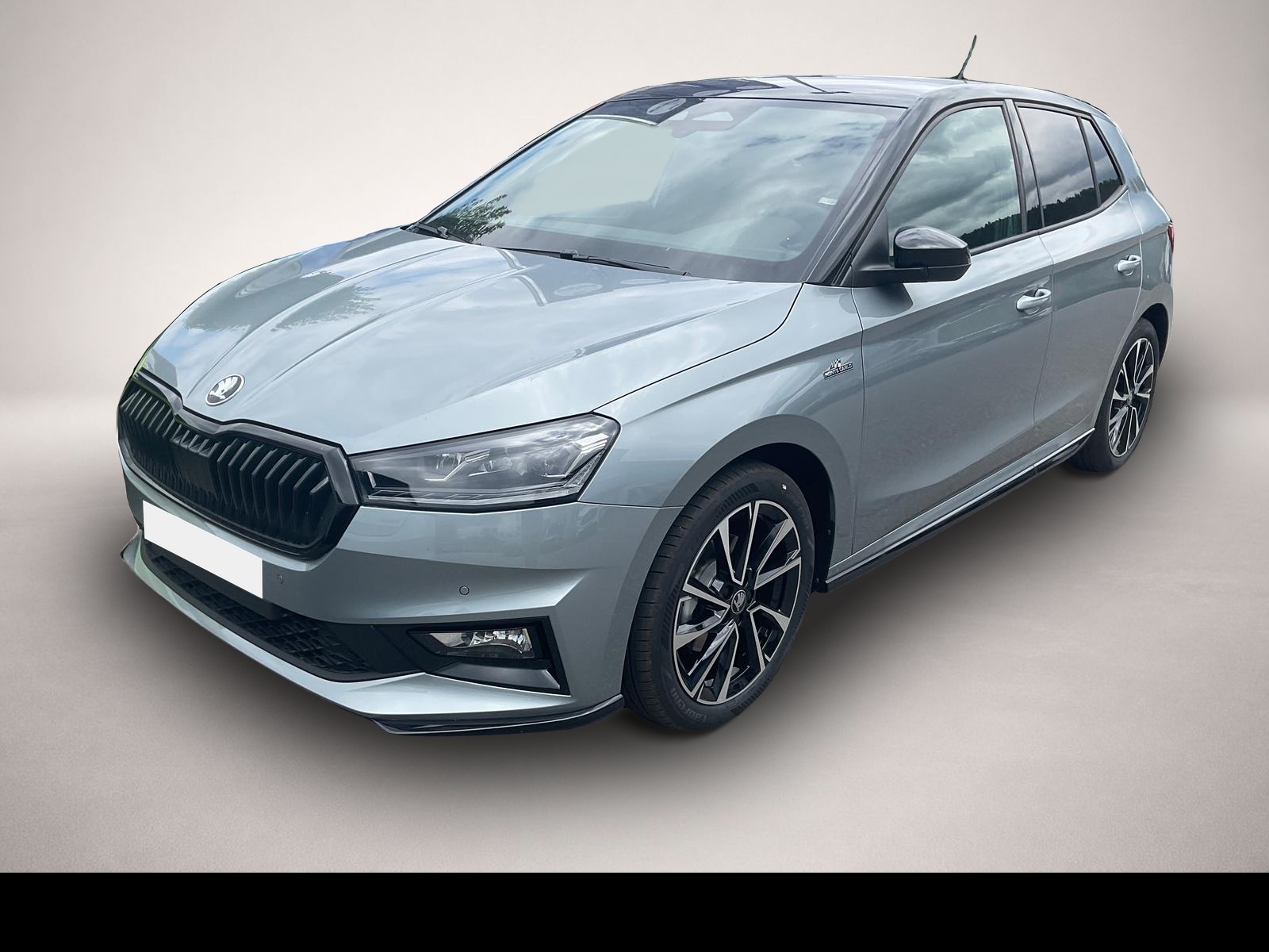 Bild Fabia Skoda