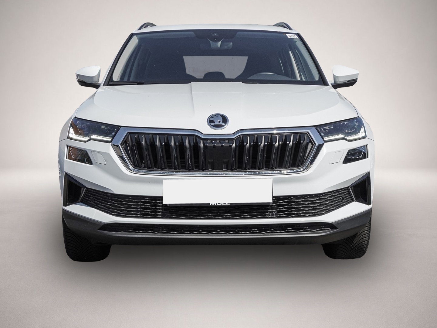 Fotografie des Skoda Karoq 2.0 TDI 4Motion DSG Tour