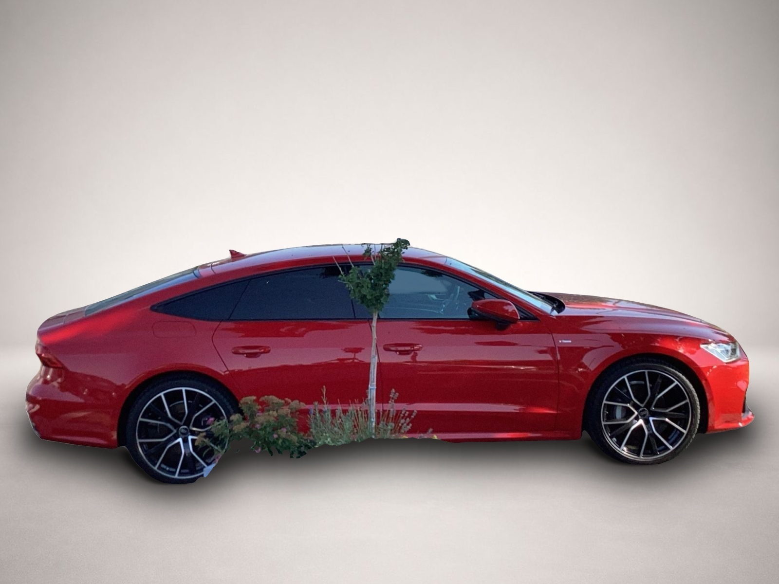 Bild 6 Audi A7 Sportback 45 TFSI Q S tronic LED/ACC/Standhzg