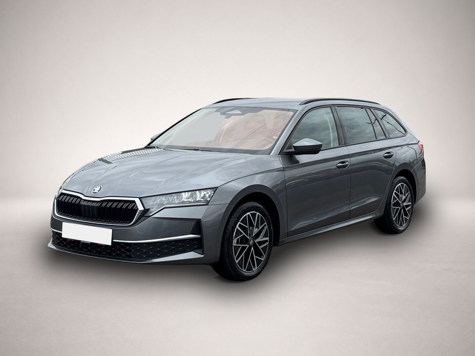 Bild Octavia Skoda