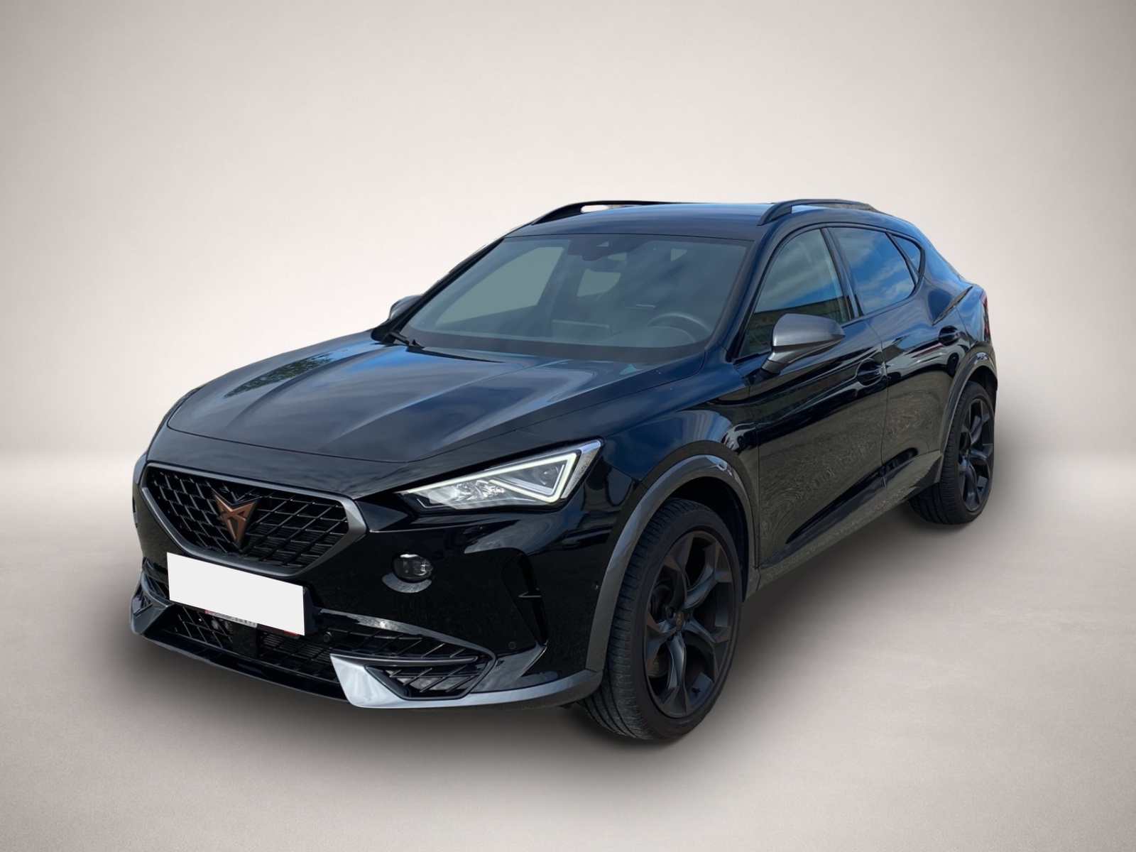 Fotografie Cupra Formentor 2.0 TSI DSG 4Dr. VZ KAMERA DCC BEATS N