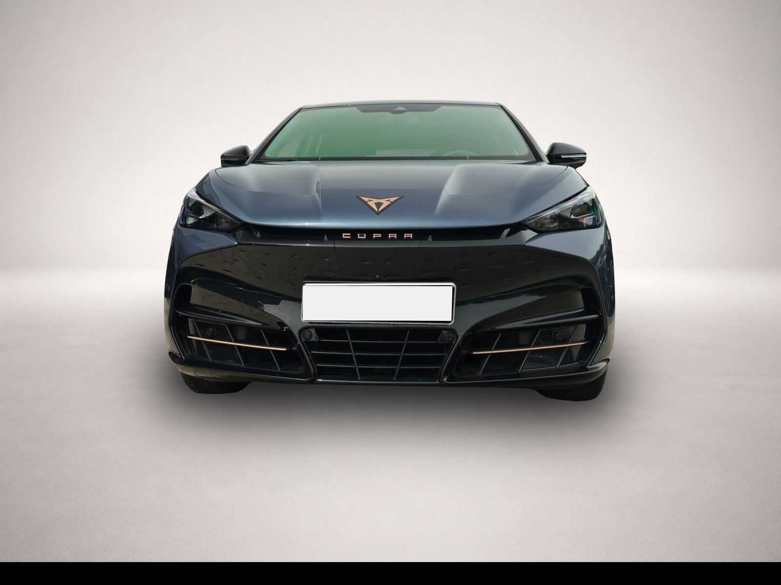 Bild 2 Cupra Tavascan AB395EUR Endurance ALCANTARA NAVI REAR