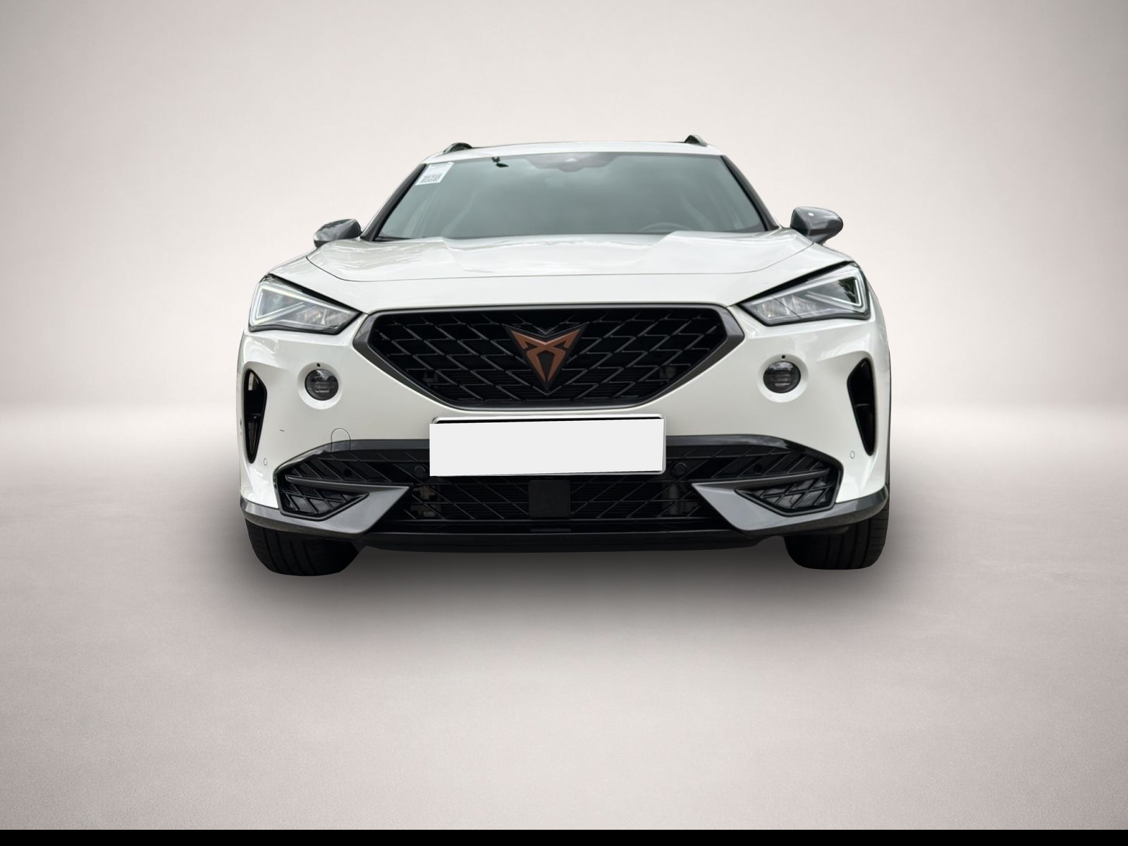 Fotografie 2 des Cupra Formentor 1.4 eHybrid DSG VZ KAMERA AHK LED ACC