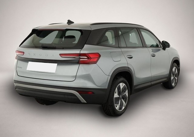 Bild Kodiaq Skoda
