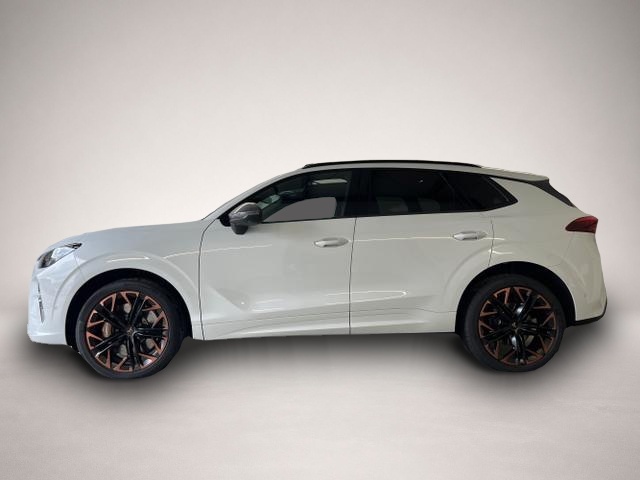 Bild 3 Cupra Terramar VZ 2.0 TSI 4Drive AKEBONO+Leder+Pano+Matrix+AHK.