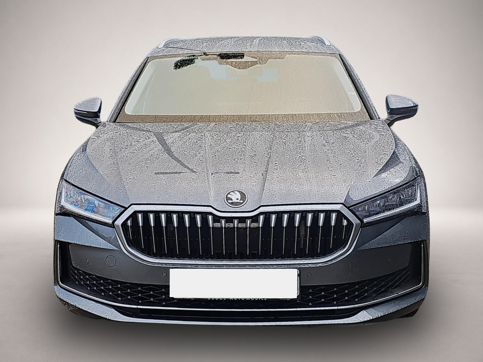 Fotografie 2 des Skoda Superb Combi 2.0 TDI DSG Selection Nav AHK Kessy