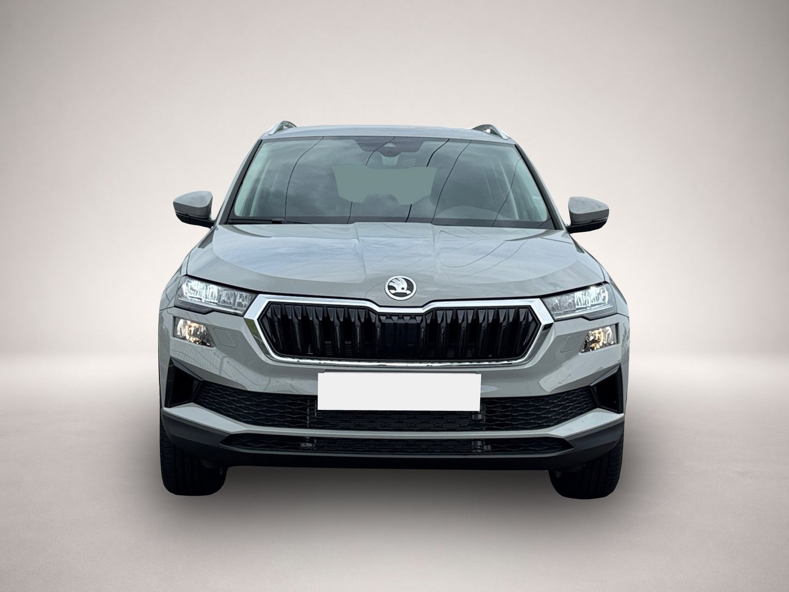 Bild 2 Skoda Karoq Selection TDI DSG|AHK|SHZ|ACC|PDC|