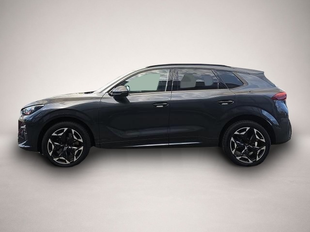Bild 3 Cupra Terramar 2.0 TSI 195 kW 4Drive VZ Terramar VZ 2.0 TSI DS.