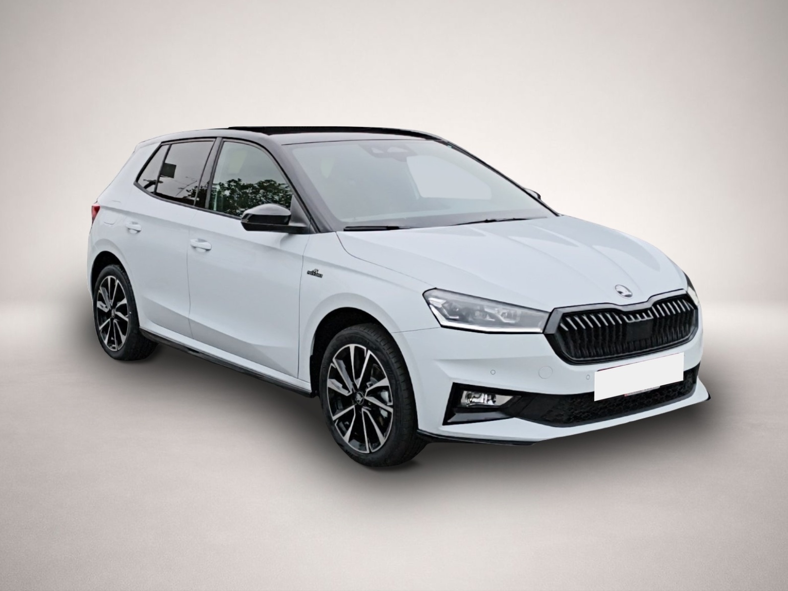 Bild 3 Skoda Fabia 1.0 TSI DSG Monte Carlo NAV RFK ACC PDC SH
