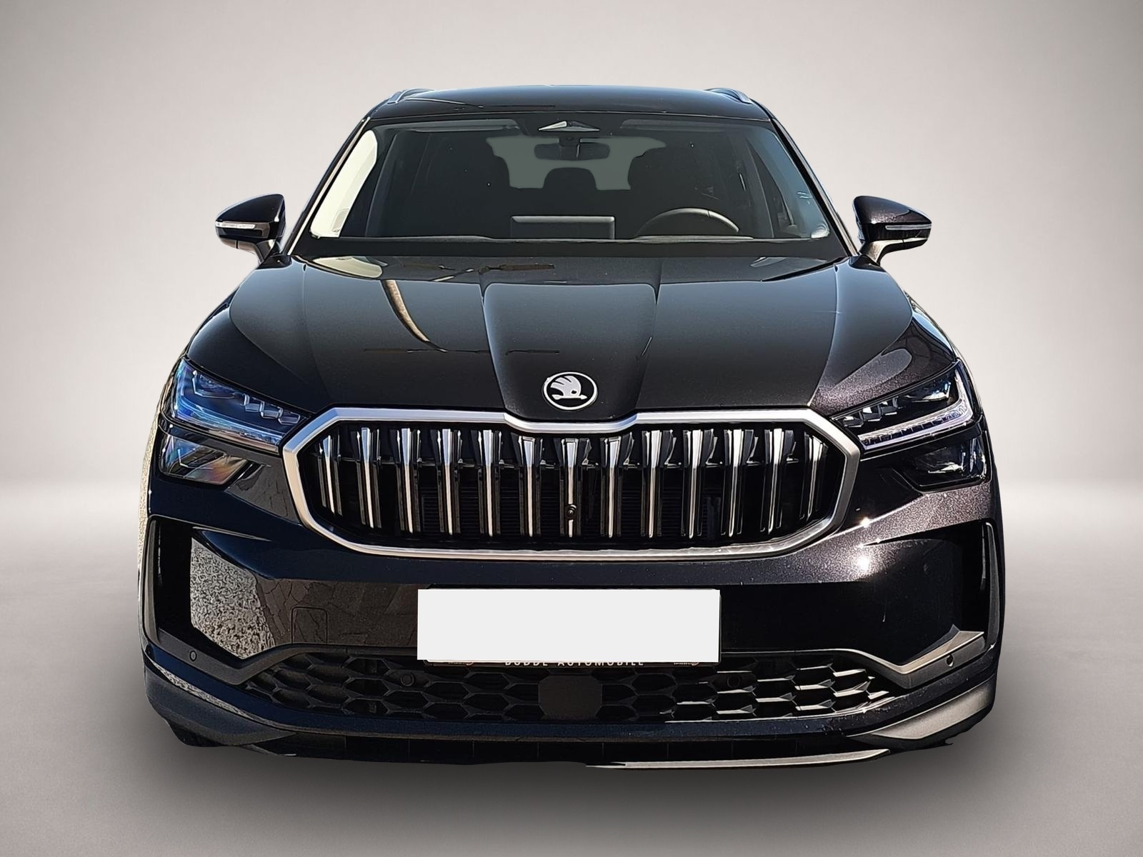 Bild 2 Skoda Kodiaq 2.0 TDI DSG 4x4 Selection 7-Si Matrix AHK